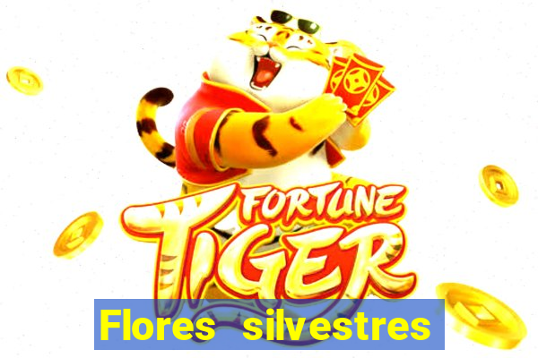 Flores silvestres brasileiras brasileiras flores silvestres nomes e imagens